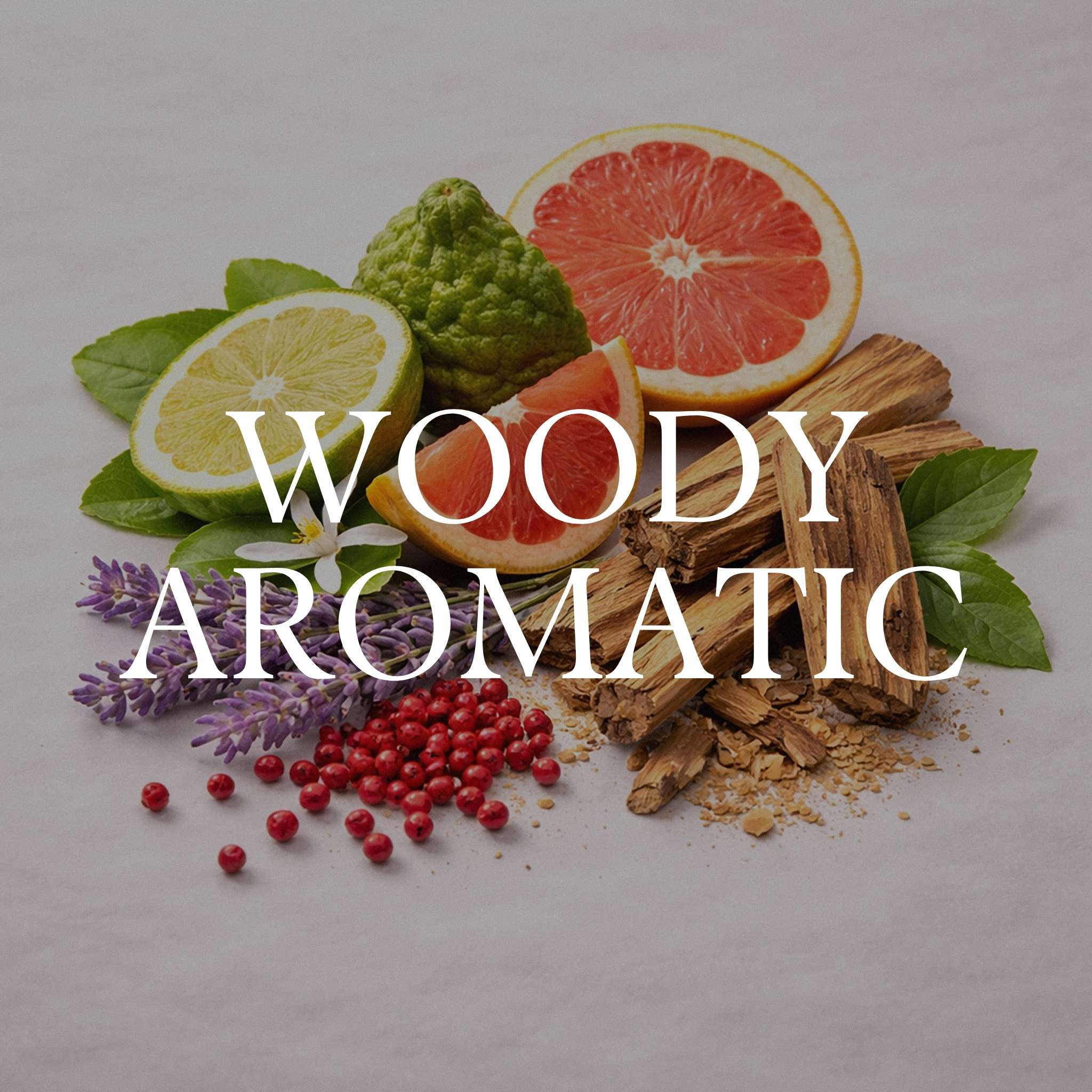 Obscura Blue | For Men Parfum